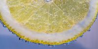 Zitronenscheibe mit kleinen Luftbläschen in Wasser